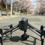 桜並木を空撮